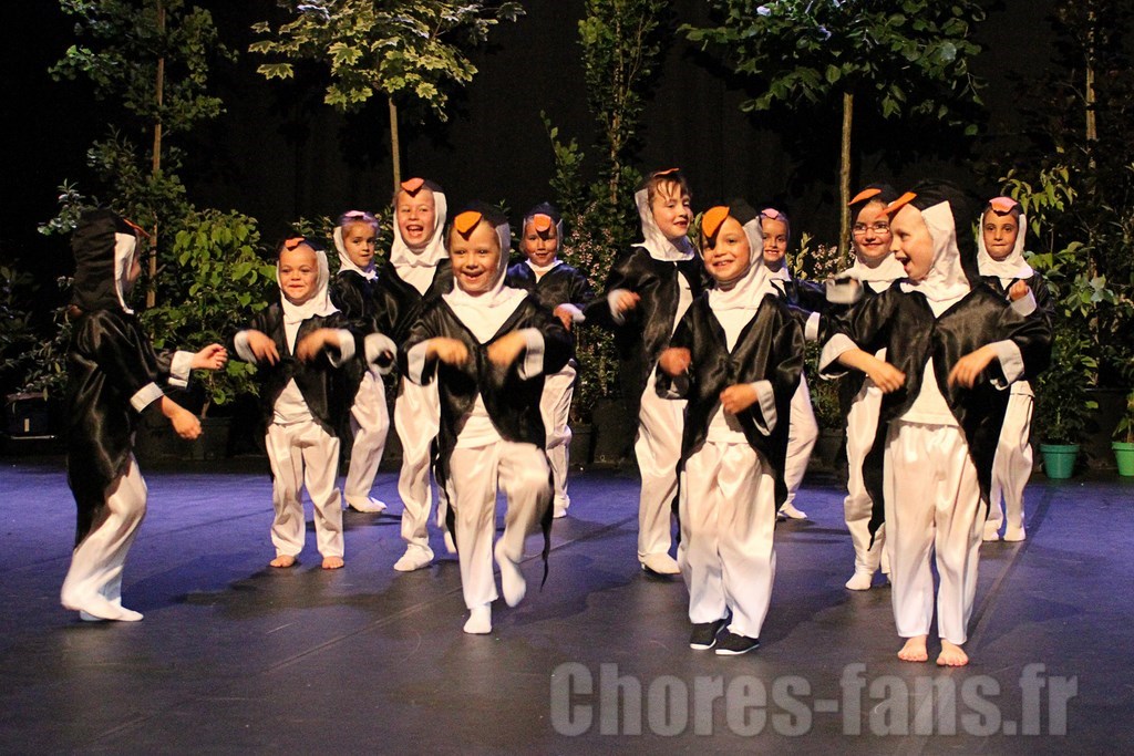COURS DE DANSE MONTARGIS EVEIL 5 ANS 